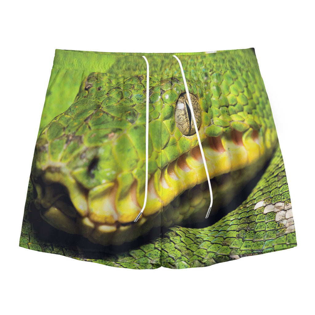 Emerald Tree Boa Snake Print Mesh Shorts