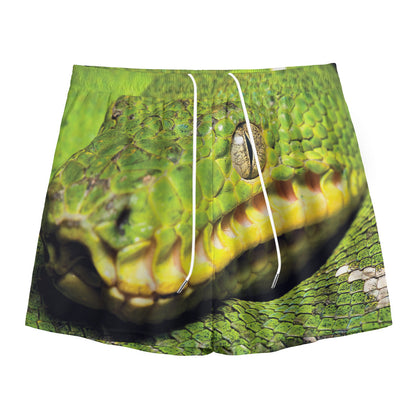 Emerald Tree Boa Snake Print Mesh Shorts