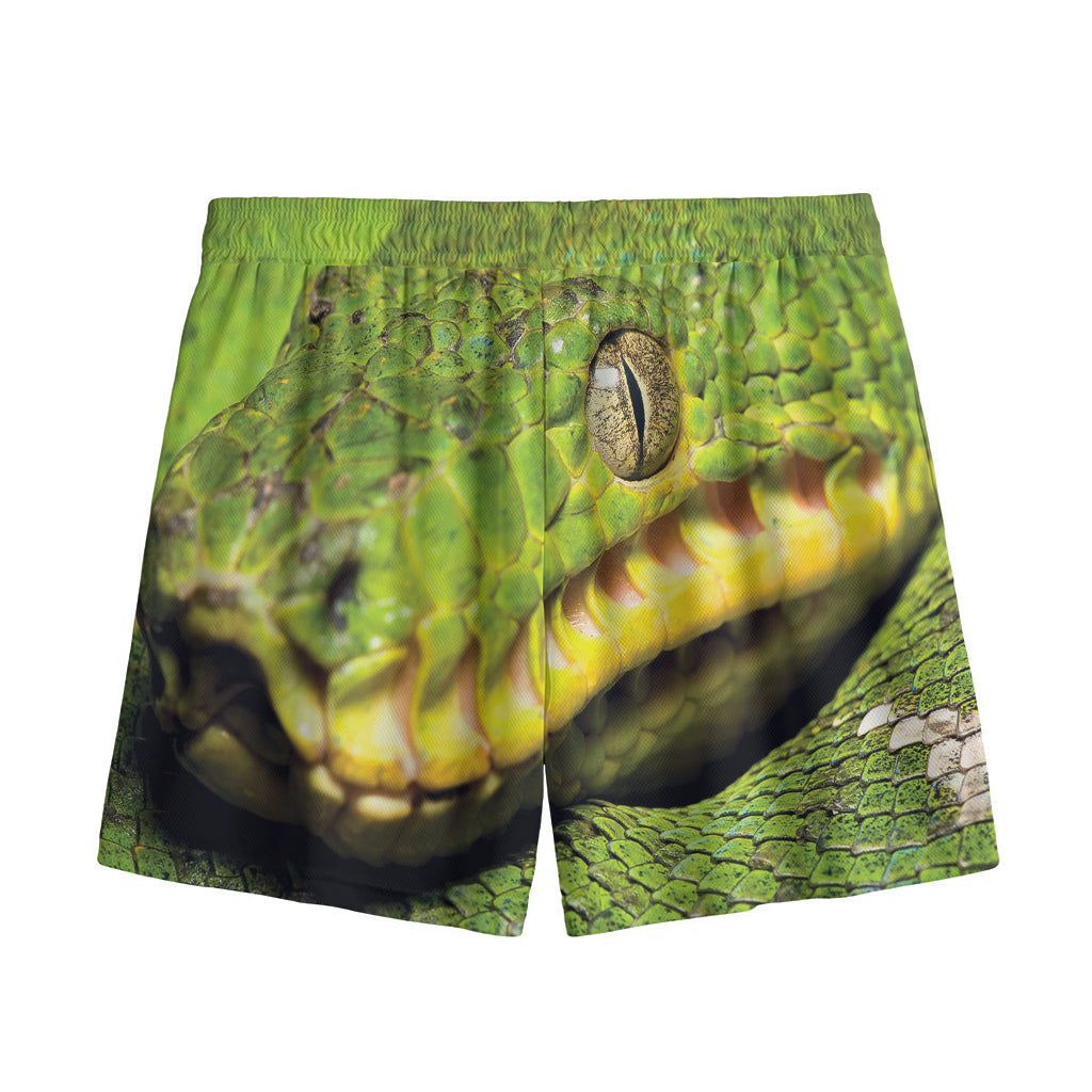 Emerald Tree Boa Snake Print Mesh Shorts