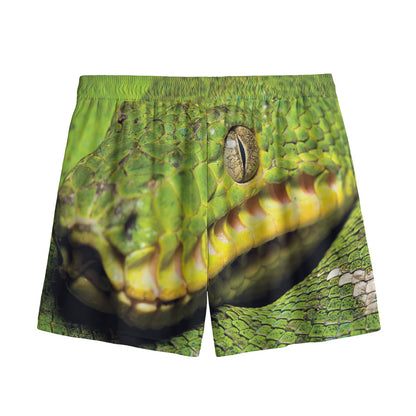 Emerald Tree Boa Snake Print Mesh Shorts