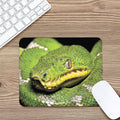 Emerald Tree Boa Snake Print Mouse Pad