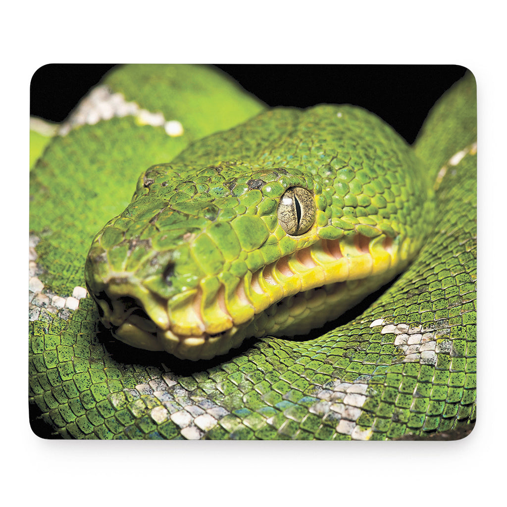 Emerald Tree Boa Snake Print Mouse Pad