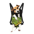 Emerald Tree Boa Snake Print Pet Carrier Backpack
