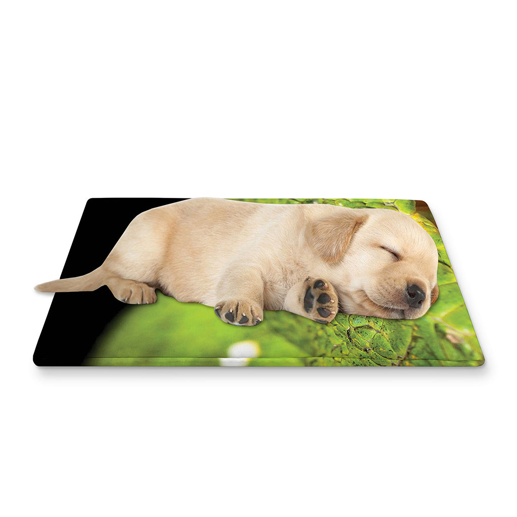 Emerald Tree Boa Snake Print Pet Cooling Mat Cover