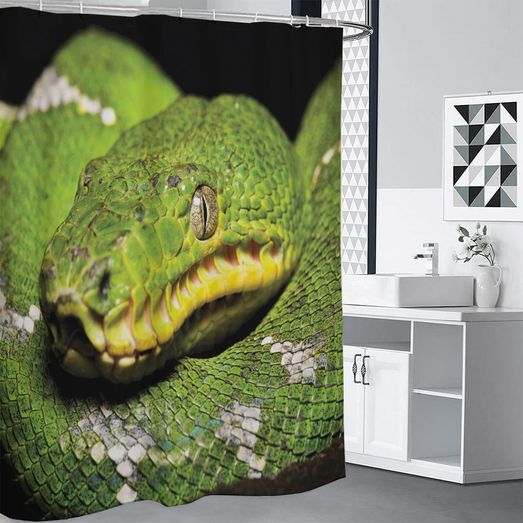 Emerald Tree Boa Snake Print Premium Shower Curtain