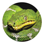 Emerald Tree Boa Snake Print Round Blanket