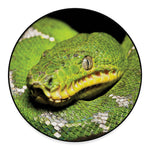 Emerald Tree Boa Snake Print Round Floor Mat