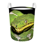 Emerald Tree Boa Snake Print Round Laundry Basket