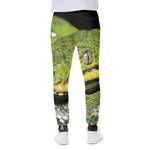 Emerald Tree Boa Snake Print Scuba Joggers