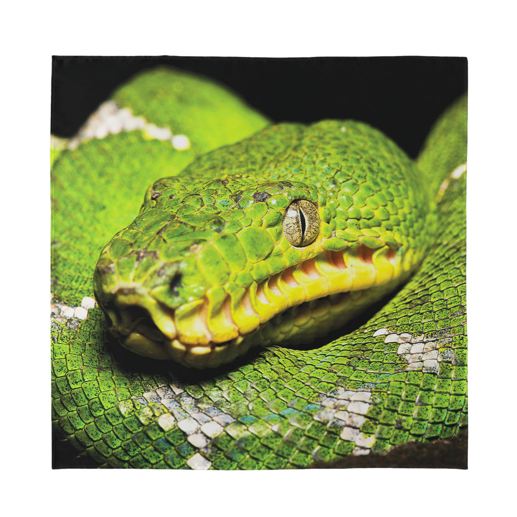 Emerald Tree Boa Snake Print Silk Bandana