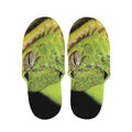 Emerald Tree Boa Snake Print Slippers