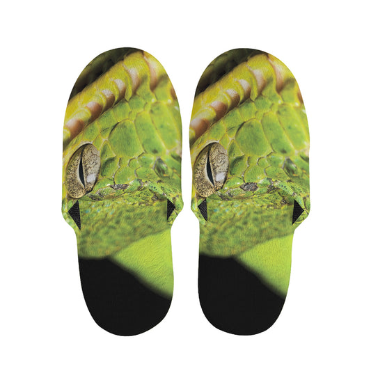 Emerald Tree Boa Snake Print Slippers
