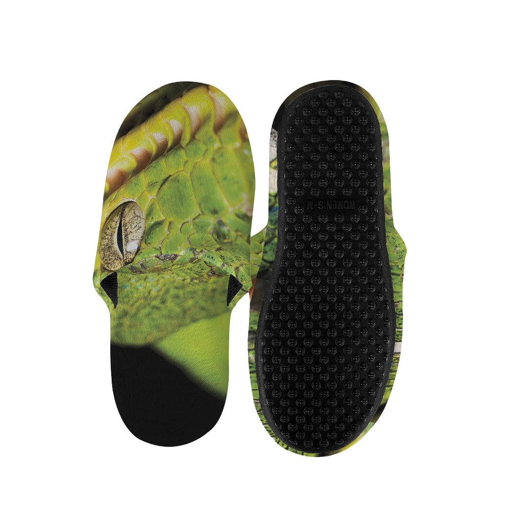 Emerald Tree Boa Snake Print Slippers