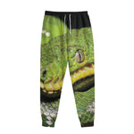 Emerald Tree Boa Snake Print Sweatpants