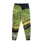 Emerald Tree Boa Snake Print Sweatpants