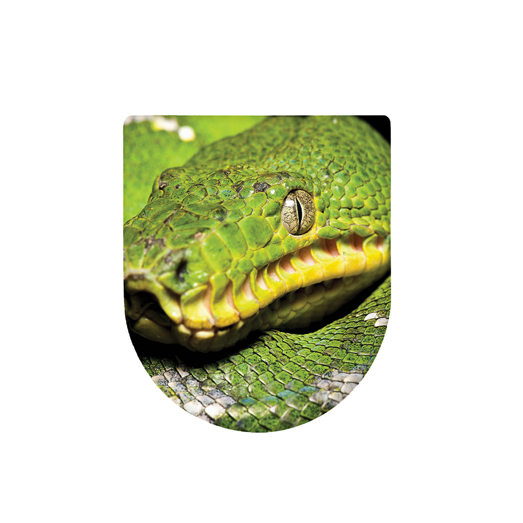 Emerald Tree Boa Snake Print Toilet Lid Cover
