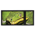 Emerald Tree Boa Snake Print Trifold Wallet