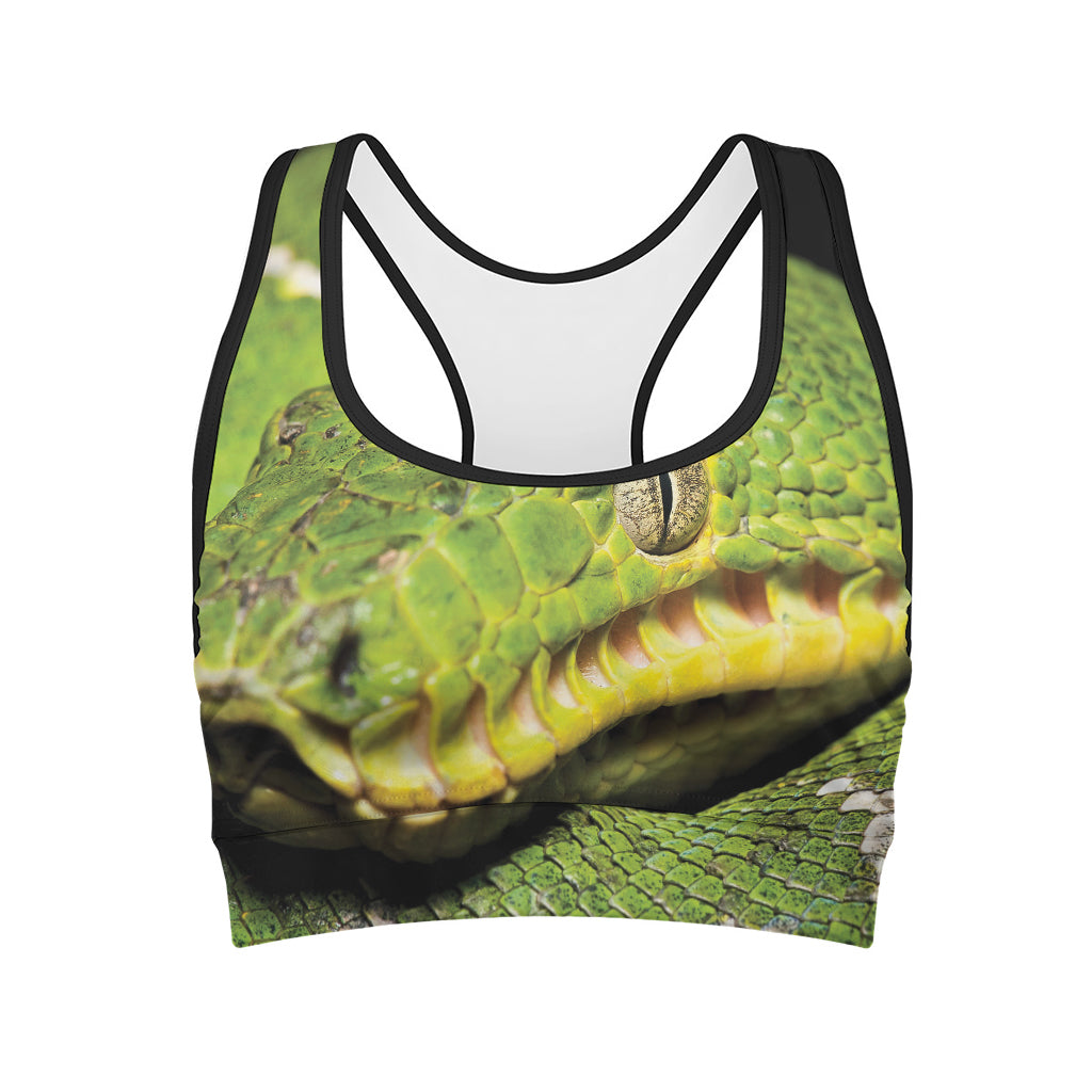 Emerald Tree Boa Snake Print Women's Sports Bra