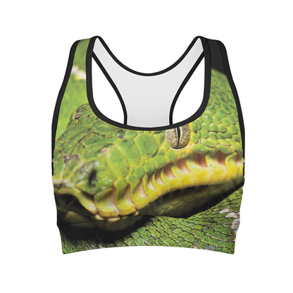 Emerald Tree Boa Snake Print Women's Sports Bra