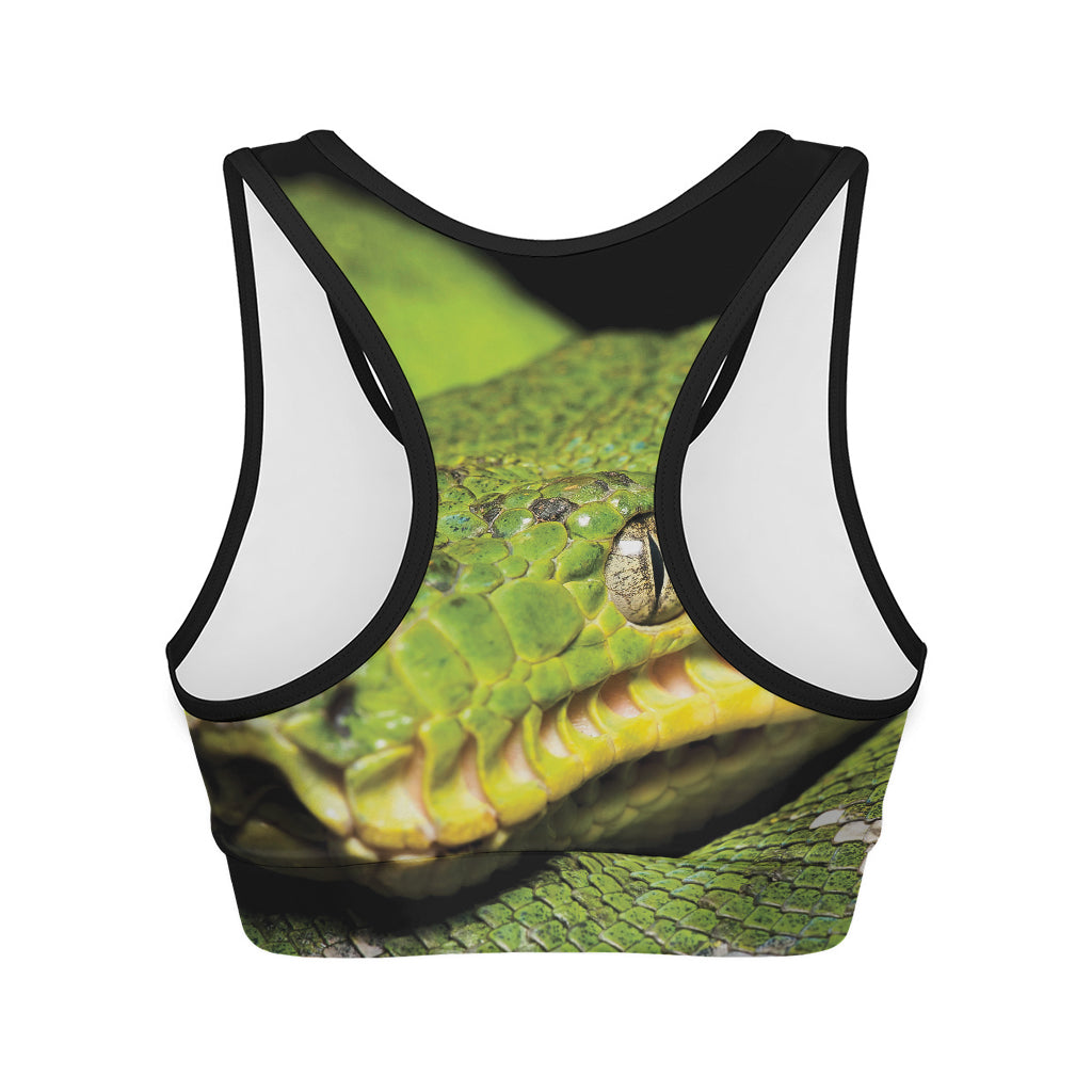 Emerald Tree Boa Snake Print Women's Sports Bra