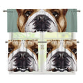 English Bulldog Portrait Print 3 Piece Kitchen Curtains