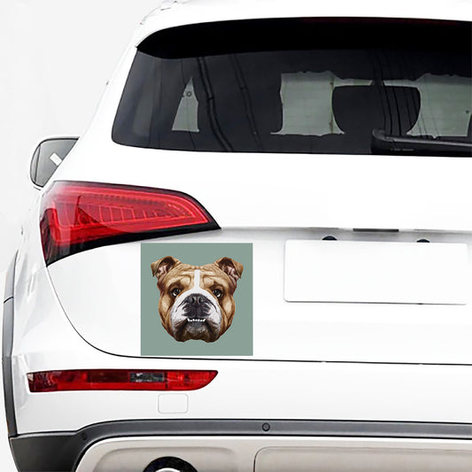 English Bulldog Portrait Print Car Sticker
