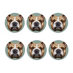 English Bulldog Portrait Print Coaster Set