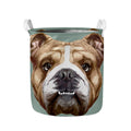 English Bulldog Portrait Print Collapsible Laundry Basket