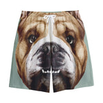 English Bulldog Portrait Print Cotton Shorts