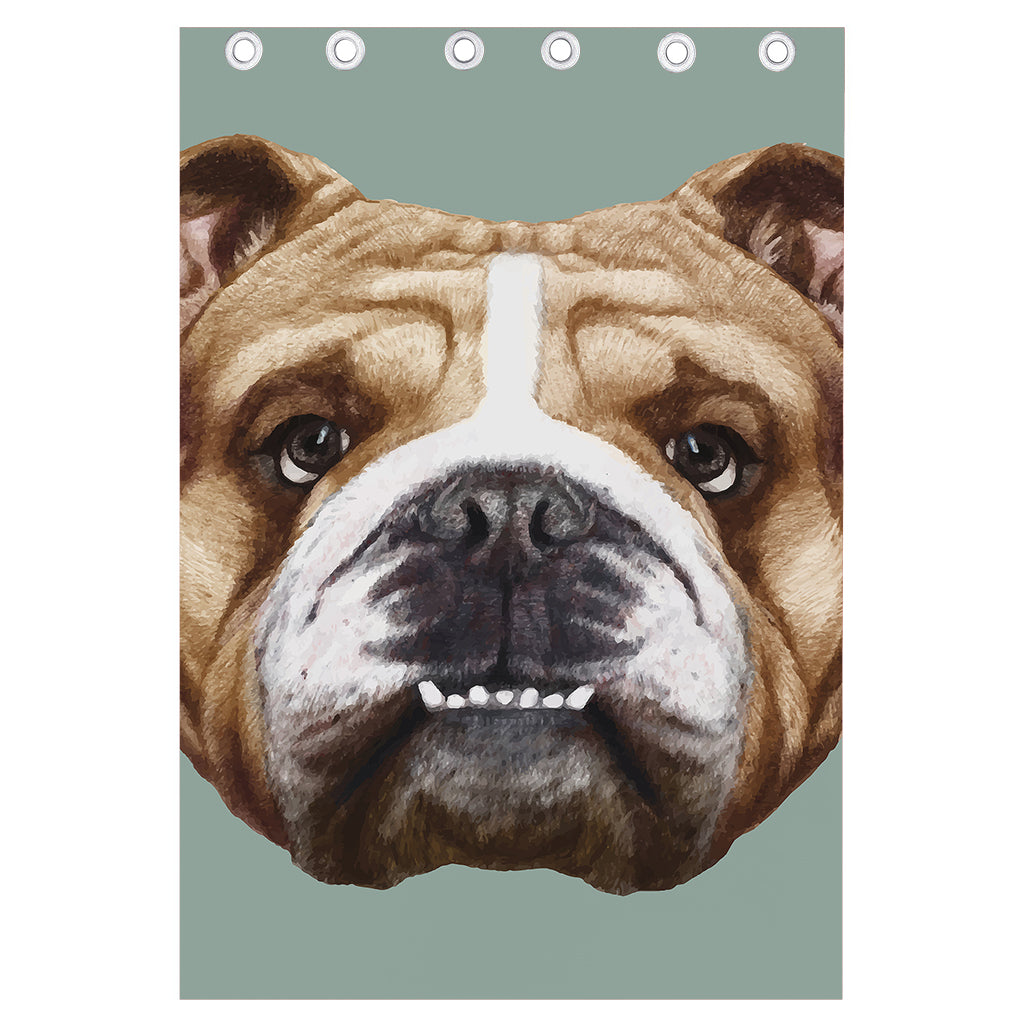 English Bulldog Portrait Print Curtain