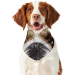 English Bulldog Portrait Print Dog Bandana