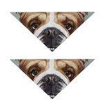English Bulldog Portrait Print Dog Bandana