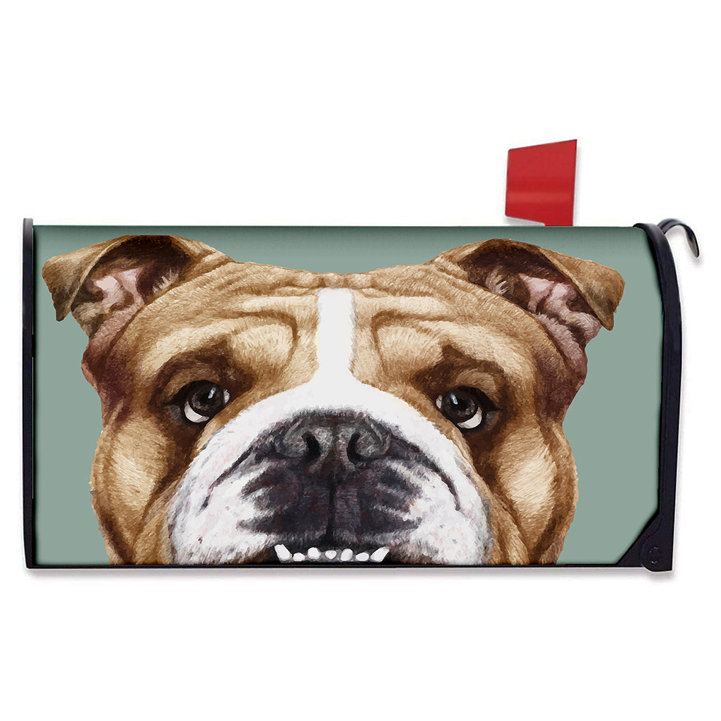 English Bulldog Portrait Print Mailbox Cover