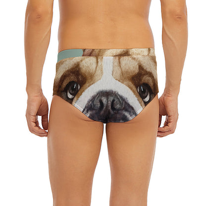 English Bulldog Portrait Print Men's Briefs