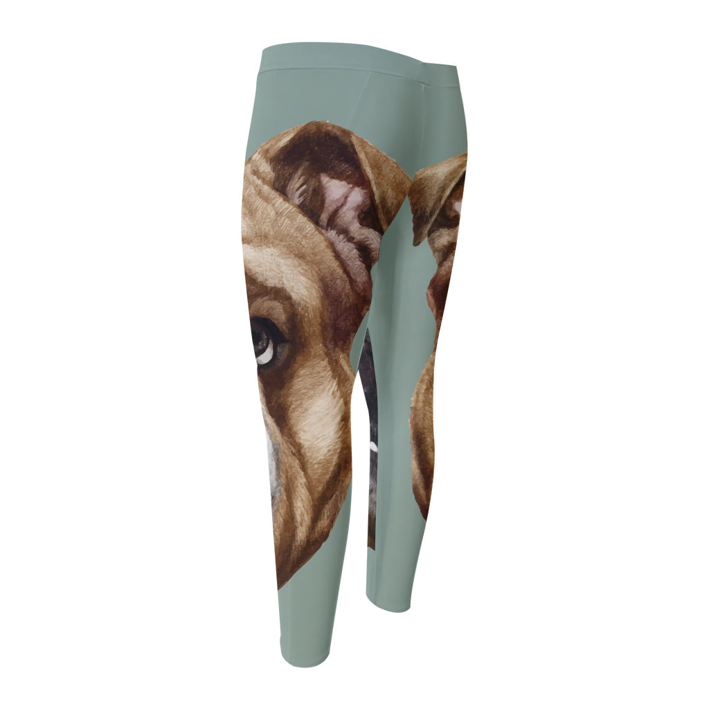 English Bulldog Portrait Print Men's Compression Pants