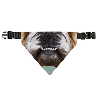 English Bulldog Portrait Print Over The Collar Dog Bandana