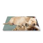 English Bulldog Portrait Print Pet Cooling Mat Cover