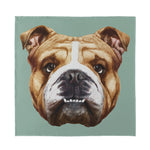 English Bulldog Portrait Print Silk Bandana