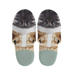 English Bulldog Portrait Print Slippers
