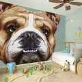 English Bulldog Portrait Print Wall Sticker