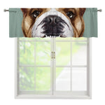 English Bulldog Portrait Print Window Valance
