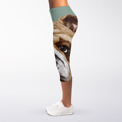 English Bulldog Portrait Print Women's Capri Leggings