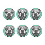 English Bulldog With Glasses Print Coaster Set