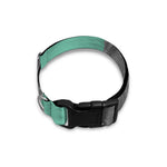 English Bulldog With Glasses Print Dog Collar