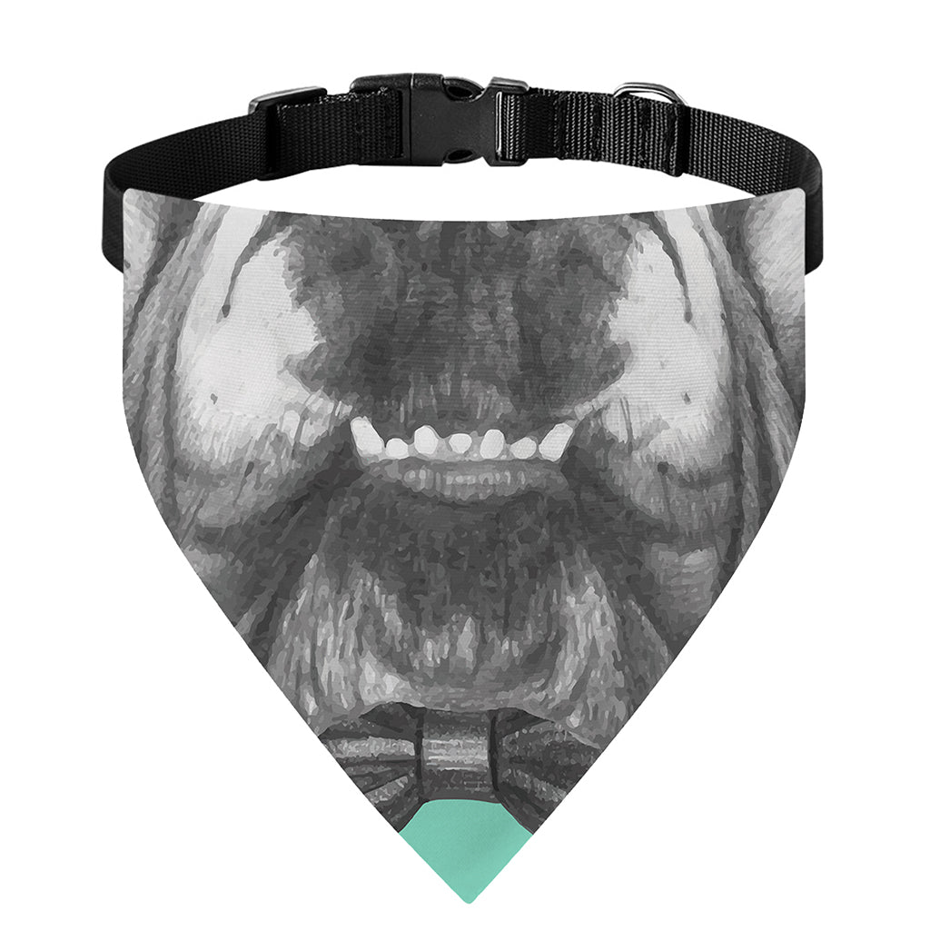 English Bulldog With Glasses Print Over The Collar Dog Bandana