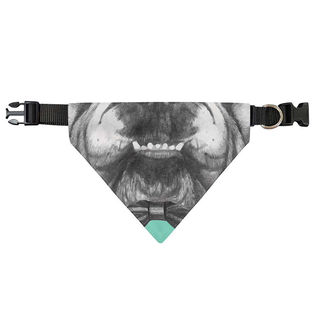 English Bulldog With Glasses Print Over The Collar Dog Bandana