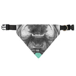 English Bulldog With Glasses Print Over The Collar Dog Bandana