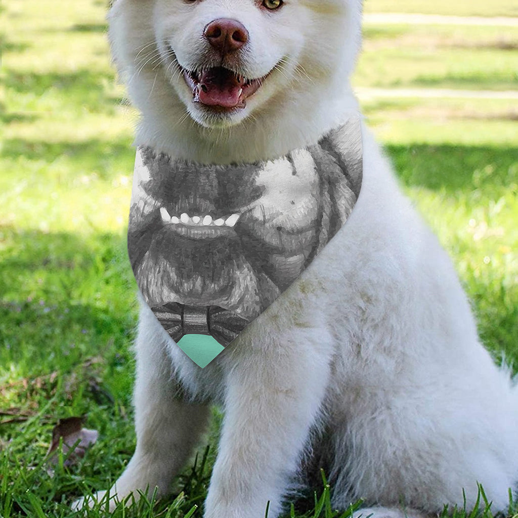 English Bulldog With Glasses Print Over The Collar Dog Bandana