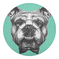 English Bulldog With Glasses Print Round Blanket