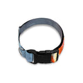 Erupting Volcano Print Dog Collar